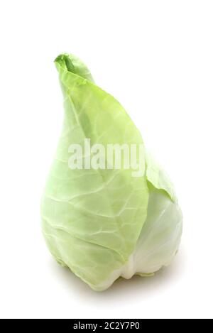 Oxheart-Kohl Stockfoto