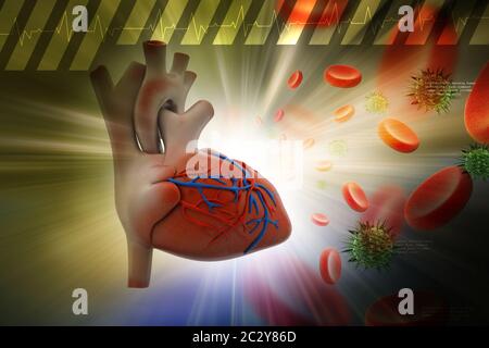 Menschenherz mit Thrombozyten und Virus in farbigem Hintergrund Stockfoto