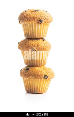 Süße Muffins. Cupcakes mit Schokolade isoliert auf weißem Hintergrund. Stockfoto