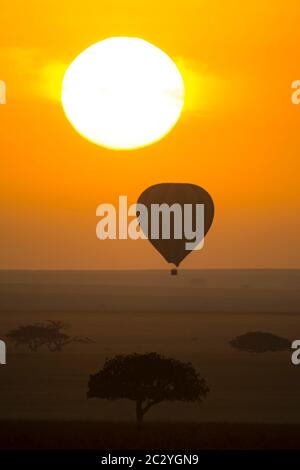 Ballon in Serengeti Sonnenaufgang, Serengeti, Tansania, Afrika Stockfoto