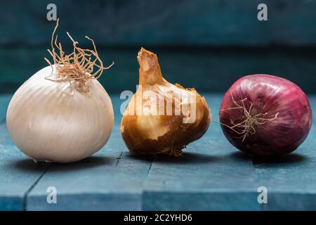 Zwiebel und Knoblauch auf petrolfarbenem Holzhintergrund. Stockfoto