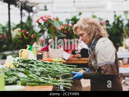 Blumengeschäft mit professionellen Kleidung in einer Baumschule. Konzept der handwerklichen Arbeit mit Blumen. Stockfoto