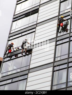 London, UK - 17. Juni 2020: Fensterreiniger reinigen ein modernes Hochhaus in London, UK. Stockfoto