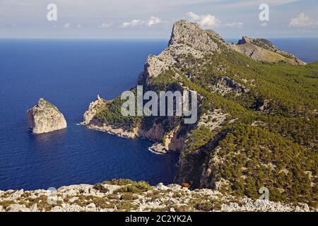 Halbinsel Cap Formentor, Mallorca, Balearen, Spanien, Europa Stockfoto