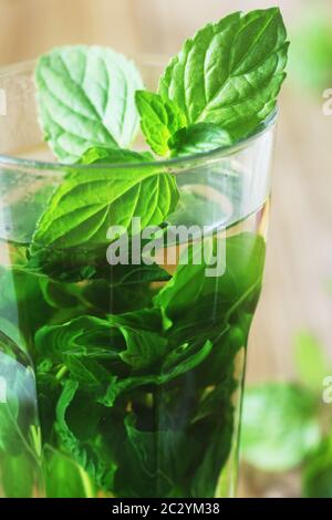 Frischen Pfefferminztee im Glas Stockfoto
