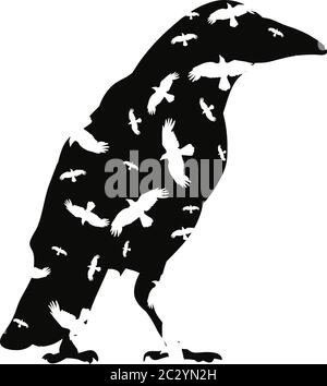 vektor, Silhouette von Krähen, Vögel Stock Vektor