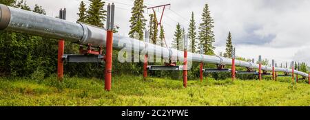 Alyeska Pipeline führt durch Landschaft, Glennallen, Alaska, USA Stockfoto