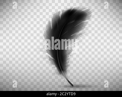 Schwarze flauschige Feder mit Schatten Vektor realistische Illustration, isoliert auf transparentem Hintergrund. Feder aus Flügel des Vogels oder gefallenen Engel, Symbol Stock Vektor