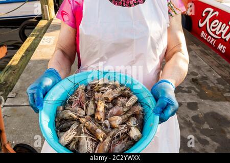 Frische Garnelen, frischer Fang zum Verkauf vom Boot in Biloxi Small Craft Harbour, Biloxi Bay, Mississippi Gulf Coast. Stockfoto