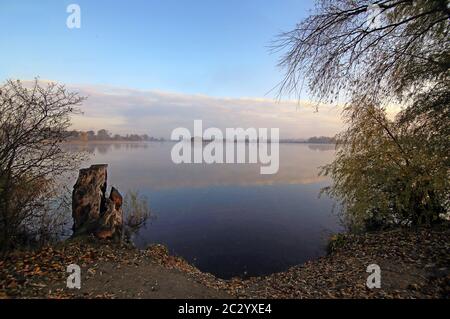 Am Erlichsee bei Oberhausen-Rheinhausen Stockfoto