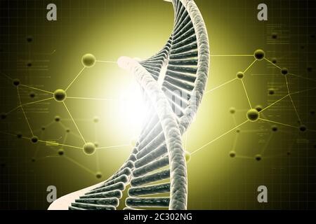 DNA in farbigem Hintergrund Stockfoto