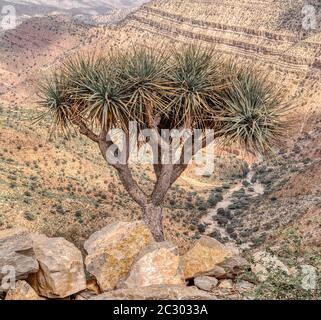 Schöne Hochlandlandschaft mit Tal. Afar-Region in der Nähe der Stadt Mekelle. Äthiopien, Afrika Wildnis Stockfoto