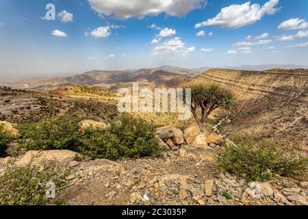 Schöne Hochlandlandschaft mit Tal. Afar-Region in der Nähe der Stadt Mekelle. Äthiopien, Afrika Wildnis Stockfoto