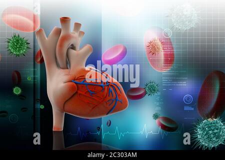 Das menschliche Herz mit Thrombozyten in Farbe Hintergrund Stockfoto