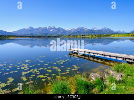 Fußgängerbrücke im See, Hopfensee, Tannheimer Berge mit Gehrenspitze, hohe Schlicke, Brentenjoch und Breitenberg, Hopfen am See, bei Füssen Stockfoto