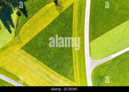 Kulturlandschaft, Dreieck in teilweise gemähter Wiese von oben, bei Hopferau, Drohnenaufnahme, Ostallgäu, Allgäu, Schwaben, Bayern, Deutschland Stockfoto