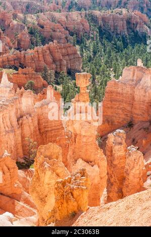 Geologie, Erosionslandschaft, Rand des Paunsaugunt-Plateaus, leuchtend rote Sandsteinpyramiden, Hoodoos, Thors Hammer, Bryce Canyon National Park, Utah Stockfoto