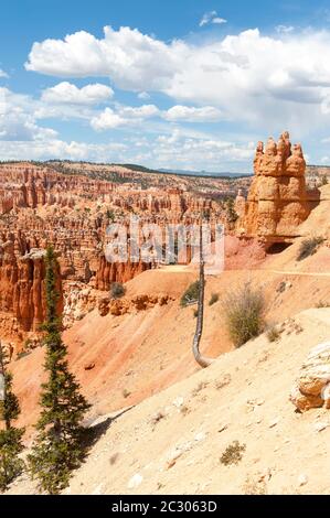 Geologie, Erosionslandschaft, Rand des Paunsaugunt-Plateaus, Sandsteinpyramiden, Hoodoos, Blick vom Peekaboo Loop Trail nahe Bryce Point, Bryce Stockfoto