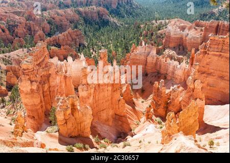 Geologie, Erosionslandschaft, Rand des Paunsaugunt-Plateaus, leuchtend rote Sandsteinpyramiden, Hoodoos, Thors Hammer, Bryce Canyon National Park, Utah Stockfoto