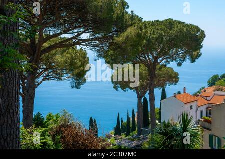 Gärten der Villa Rufolo mit ihren berühmten Sonnenschirm Pinien mit Blick auf das Tyrrhenische Meer, Ravello, Kampanien, Italien Stockfoto