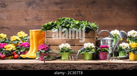 Gartenwerkzeuge Und Blumen Bereit Zum Pflanzen Stockfoto