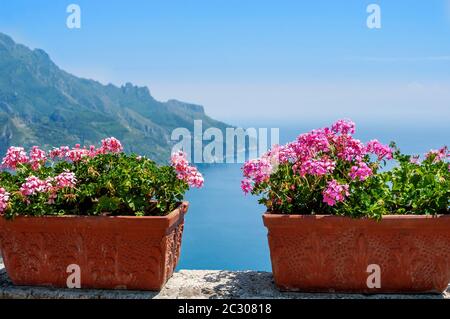 Blick von der Terrasse der Villa Cimbrone mit rosa Geranien blüht in Terrakotta-Töpfen mit Blick auf das Tyrrhenische Meer, Ravello, Kampanien, Italien Stockfoto