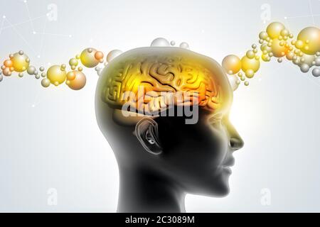 Man Kopf, das menschliche Gehirn Stockfoto