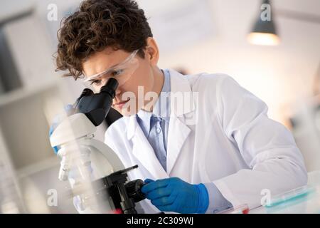 Konzentrierter lockiger Forscher des pharmazeutischen Unternehmens Drehknopf während der Einstellung Mikroskop im Labor Stockfoto