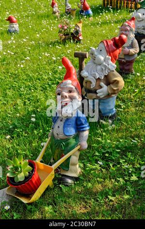 Gartenzwerge, sieben Zwerge auf der Wiese, Buchen bei Büdingen, Hessen, Deutschland Stockfoto