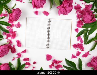 Öffnen leer Notebook mit weißen Laken und blühende rote Pfingstrose mit grünen Blättern, Ansicht von oben, weißer Hintergrund Stockfoto