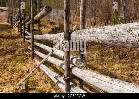 Nahaufnahme eines alten Zaunes, der mit jungen Tannen zusammengebaut wurde, Bild aus Mellansel Vasternorrland, Schweden. Stockfoto