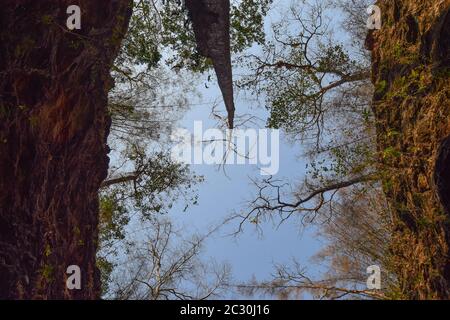 River Kwai/Hintock Camp/Hellfire Pass 140120 Stockfoto