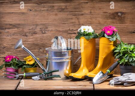 Gartenwerkzeuge Und Blumen Bereit Zum Pflanzen Stockfoto