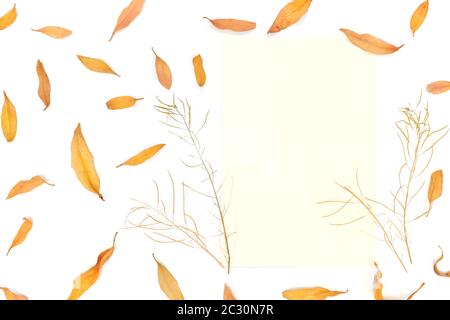 Leuchtend orange fallende Herbstblätter Papier Mockup in weißem Hintergrund. Stockfoto