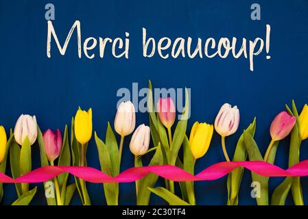 Französischer Text Merci Beaucoup Bedeutet Vielen Dank. Weiße Und Pinke Tulpenfrühlingsblumen Mit Band. Blauer Holzhintergrund Stockfoto