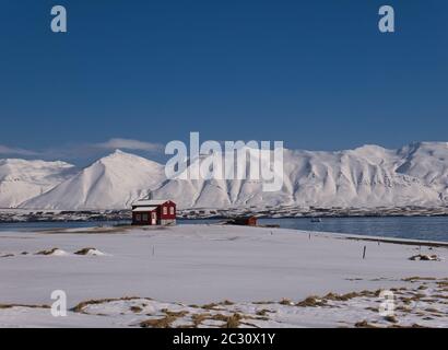 Ein rotes Haus an der Küste Islands vor schneebedeckten Bergen Stockfoto