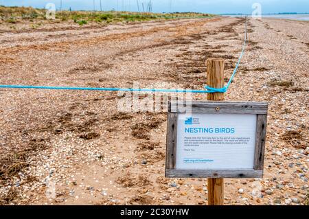 Bereich von Snettisham Strand an den Ufern der Wash abgezogen, um Nester von beringten Plovers & Austernfischer zu schützen. Ein RSPB-Schild warnt vor Nesting Birds. Stockfoto