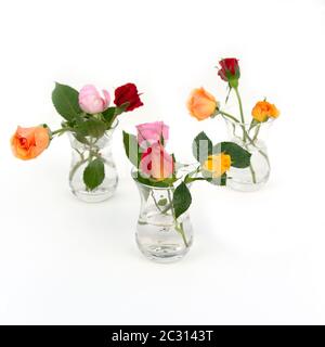 Minimalistische Komposition aus bunten Rosen in Glasvasen. Weihnachtskarte. Stockfoto
