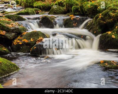 Die kleine Ohe, Fluss im Nationalpark Bayerischer Wald Stockfoto