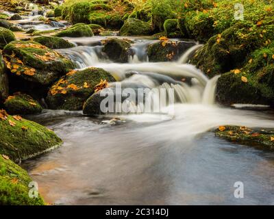 Die kleine Ohe, Fluss im Nationalpark Bayerischer Wald Stockfoto