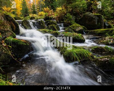 Die kleine Ohe, Fluss im Nationalpark Bayerischer Wald Stockfoto