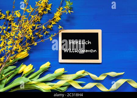 Tafel Mit Deutschem Text Herzlich Willkommener Heißt Willkommen. Gelbe Frühlingsblumen Wie Tulpe Und Äste. Festliche Dekoration Mit Band. Blue Woo Stockfoto