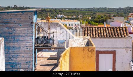 Traditioneller Taubenkäfig auf den Dächern der Stadt Moncarapacho, Portugal Stockfoto