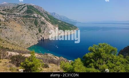 Felsiger Strand, bue transparentes Meer in Istrien und trockene Bäume, kroatische Küste Stockfoto