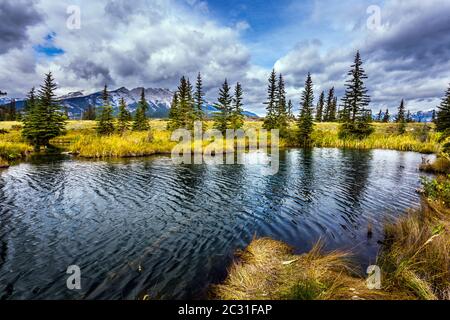 Fabelhafte Landschaft - Seen und Tannen Stockfoto