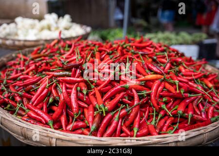 Red Chilis zum Verkauf eine Weidenschale Stockfoto