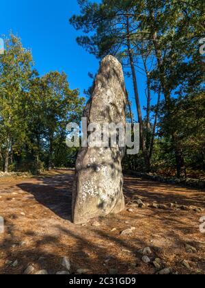 Giant Manio Menhir bei Carnac, Morbihan, Westbretonische Region, Frankreich Stockfoto