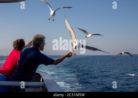 Thassos / Griechenland - 10.28.2015: Männer, die Möwen vom Deck einer Inselfähre essen, Möwen, die den Cracker fangen, blaues ruhiges Meer im Hintergrund Stockfoto