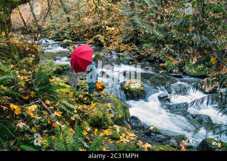 Ansicht einer Frau auf dem Felsen mit einem Strauß Herbstblätter, Rocky Brook Falls, Brinnon, Washington, USA Stockfoto