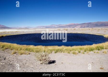 Geyser Ojos del Campo am Salar von Antofalla in der Puna de Atacama, Argentinien. Antofalla liegt in der Antofagasta de La Sierra Abteilung des No Stockfoto